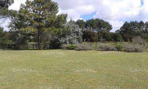 Imagen 12 de 30 de Chacra Con Casa En Venta Mangrullos De Punta Piedra- Ref: 27705