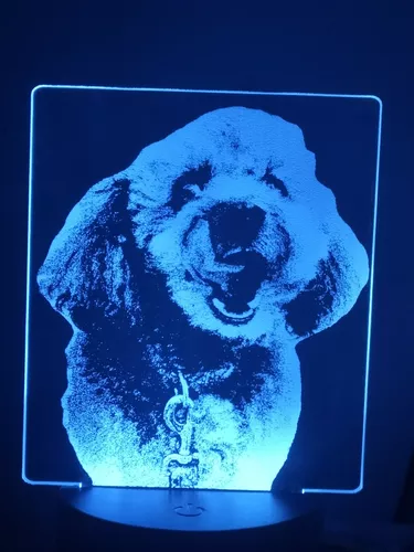 Lámpara de fotos personalizada con patas de perro, luz nocturna LED con  foto personalizada, luz nocturna de tablero acrílico, lámpara de noche de