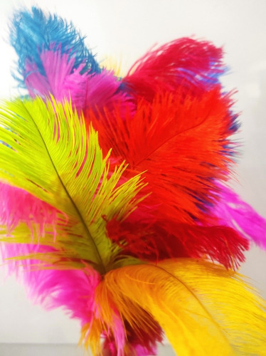 Imagen 2 de 4 de Plumas Sintéticas De Colores Para Manualidades