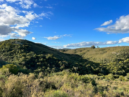 Venta Chacra Sierra Ruta 39 Aigua Sierra De Los Caracoles Maldonado