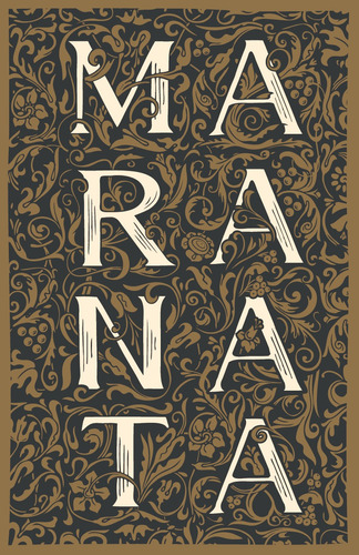 Livro Bíblia Arc Maranata Ornamentos - Letra Gigante