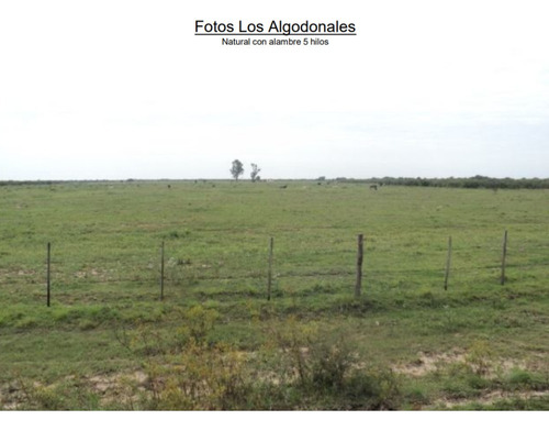 Imagen 3 de 11 de Vendo 30000 Hectáreas En Santa Fe