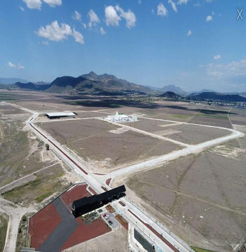 Local - Puebla