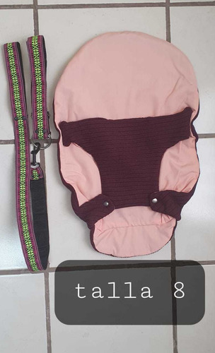 Paquete De Collar, Correa Y Sweater Talla 8 Para Perro