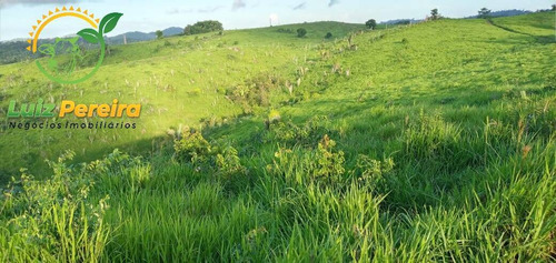 Imagem 3 de 15 de Fazenda À Venda Em Pacajá - Pa - De 625 Alqueirões (dupla Aptidão) - 1830