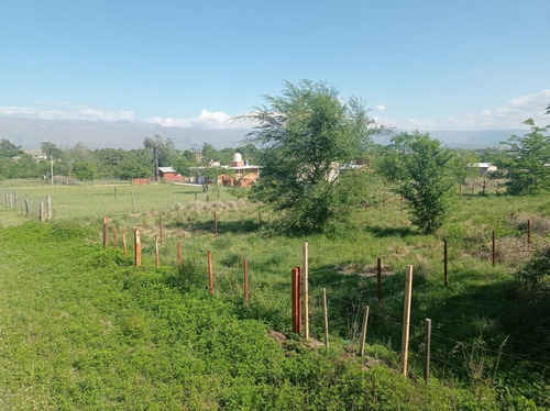 Imagen 3 de 4 de Yacantop S.r.l. Vende Terreno Zona Centrica