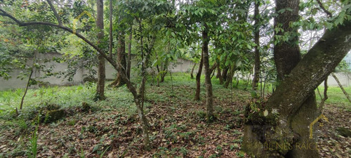 Terreno Enventa En Piedra De Agua En Jilotepec Veracruz