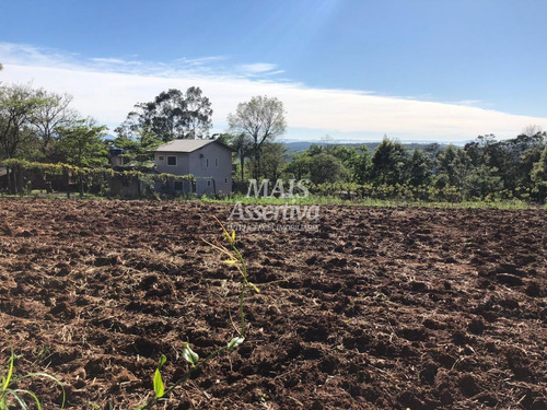 Imagem 6 de 8 de Chácara Para Venda Em Novo Hamburgo, Lomba Grande - 181821-cw_2-1344879