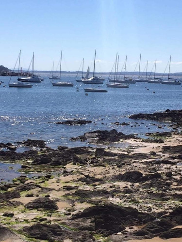 Imagen 3 de 16 de Apto Divino Prox Puerto Punta Del Este