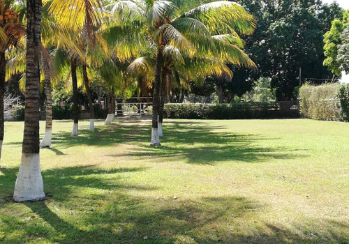 Imagen 9 de 10 de Jm Asein P1886 Vende Linda Finca En El Sector La Sabana Via Tocuyito Valencia.