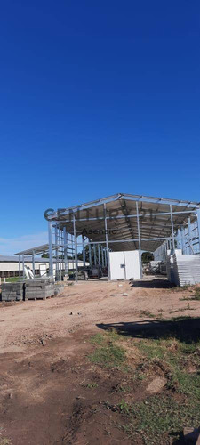 Imagen 13 de 22 de Granja Modelo Productora Huevos Venta Automatizada Baradero, Campo 4hts