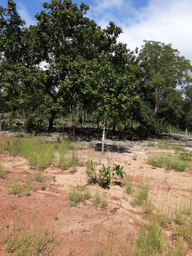 Vende/troca Chácara (13x77) Com Ena Beira Do Lago/palmas-to