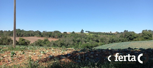 Imagem 6 de 15 de Terreno - Serrinha - Ref: 758 - V-758