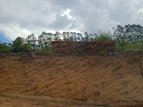 Imagem 8 de 12 de Pj* Proprietário Com Lotes Excelentes Com Vista Para Área Verde Confira *