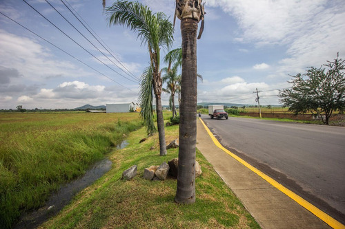 Terreno En Venta En Carretera Guadalajara, El Salto.