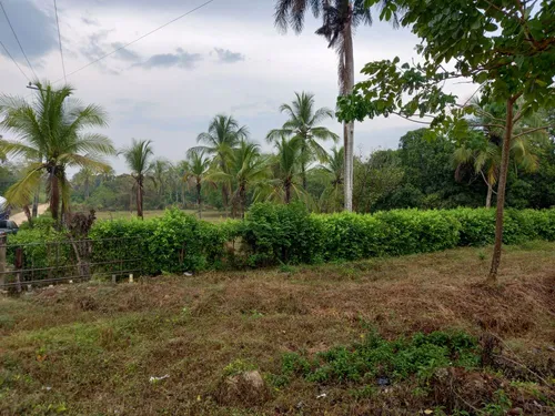 Lote Con Amplias Posibilidades De Desarrollo Cod 18401
