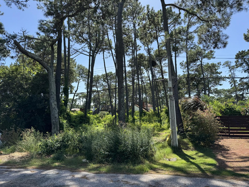 Terreno En  Pinares - Maldonado - Uruguay