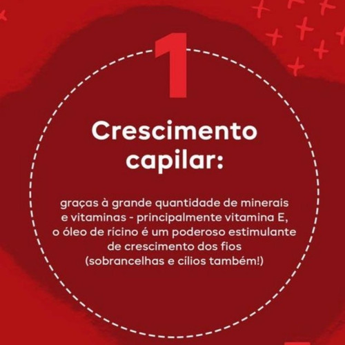 Imagem 9 de 12 de Oléo De Ricino Vegetal+ampola Biotina Cavalo Real Vita Seiva