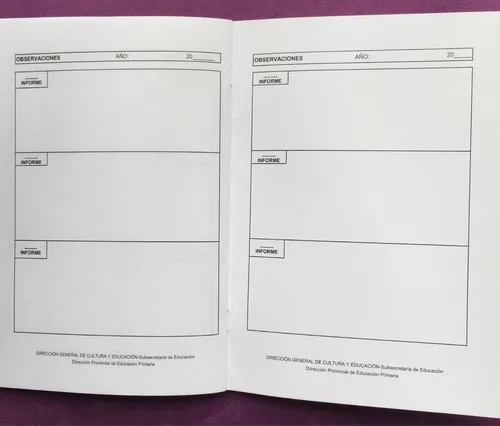 Boletín Primaria Primer Ciclo Pcia Bs As