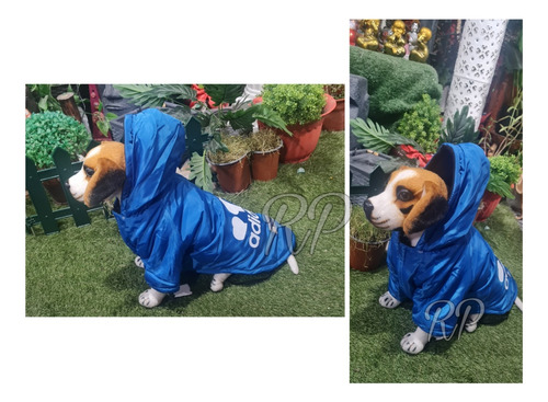 Parka Para Perros Térmica Diseño Color Y Talla Elección 