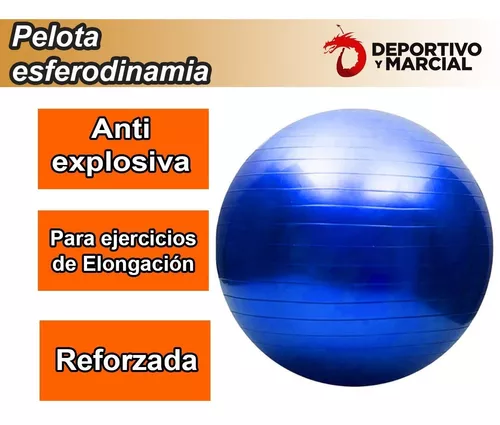 Pelota Pilates Esferodinamia Medicinal 75 Cm Gym Importada