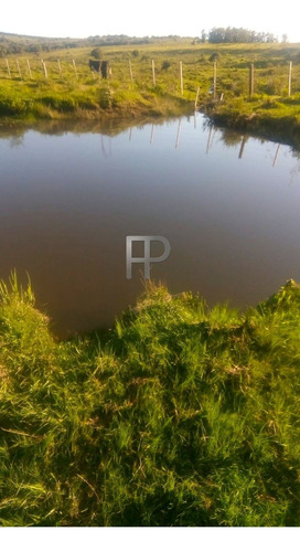 Imagen 5 de 6 de Campo En Venta Pueblo Edén 5 Hectáreas