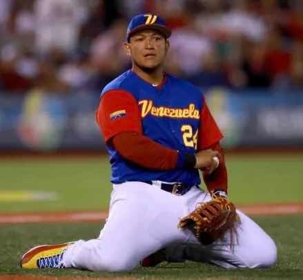 Imagen 9 de 9 de Camiseta Azul De Venezuela Clásico Mundial De Béisbol 2017