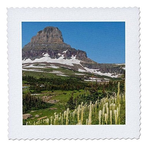 3d Rose Clements Montaña Con Oso Zacate Parque Nacional Gla