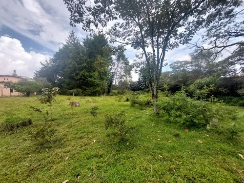 Lotes En Venta Llanogrande 743-7717