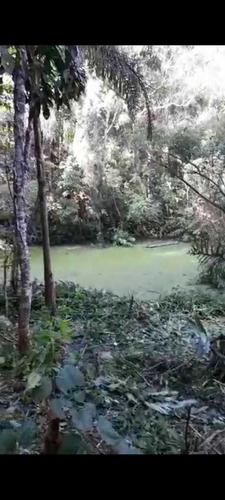 Imagem 9 de 14 de A26- Venha Viver Com Os Sons Dos Pássaros, Lote 100% Seguros