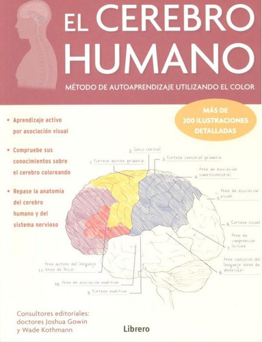 El Cerebro Humano. Metodo De Autoaprendizaje Utilizando El