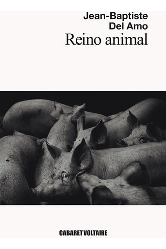 Libro Reino Animal - Del Amo, Jean-baptiste