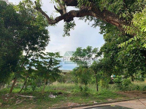 Imagem 1 de 3 de Excelente Terreno À Venda, 1738 M² Por R$ 780.000 - Parque Dez De Novembro - Manaus/am - Te0820