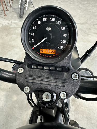 Harley Davidson Sportster Iron