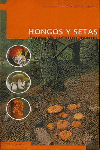 Hongos Y Setas, De Oria De Rueda, Juan Andrés. Editorial Ediciones Cálamo, Tapa Blanda En Español