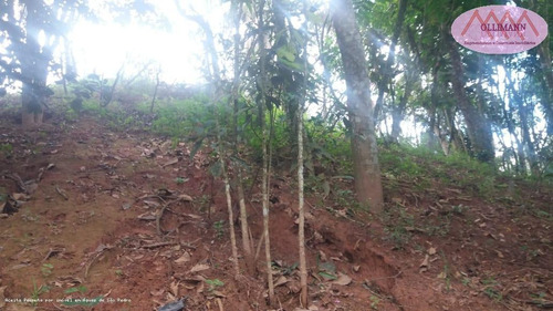 Chácara Para Venda Em Ribeirão Pires, Pilar Velho - 000333333_2-1163334