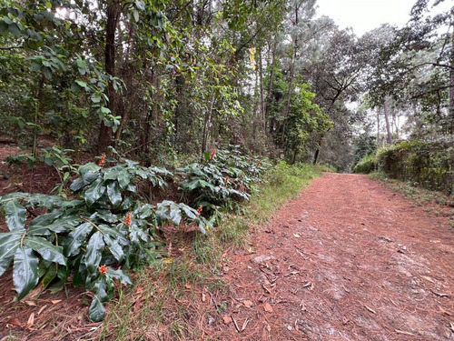 Terreno Rincón Jaímes