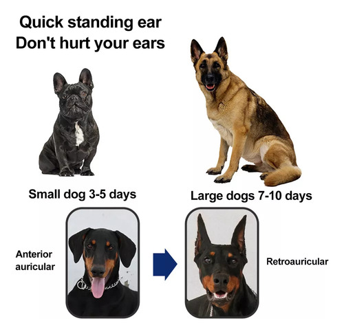 2x Mascota Perro Oreja Soporte Corrector Herramienta Perro