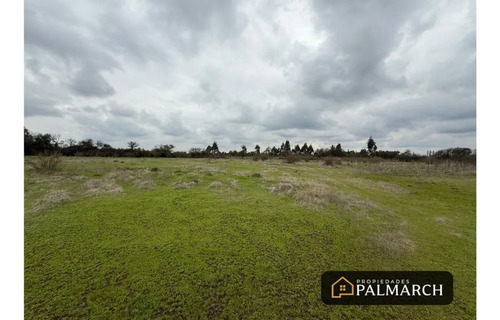 Parcela En Venta Sector Talquita, Parral