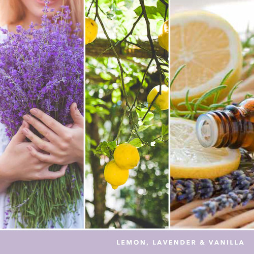Vela En Tarro Limón Y Lavanda 623 G Candelas Aromáticas