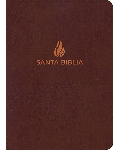 Biblia Letra Grande Tamaño Manual Marrón Rvr60 - Holman