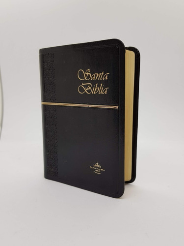 Biblia Ultra Fina Color Negro Rvr 1960 10 X 14 Cm