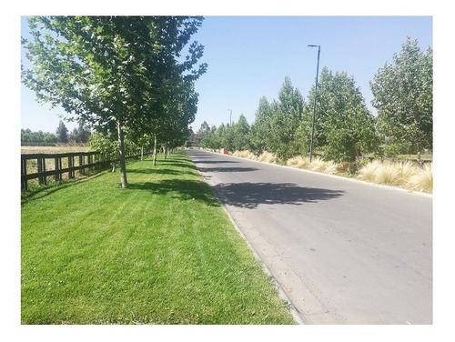 Terreno En Venta Cercano A Centro Comercial Parque Chicureo