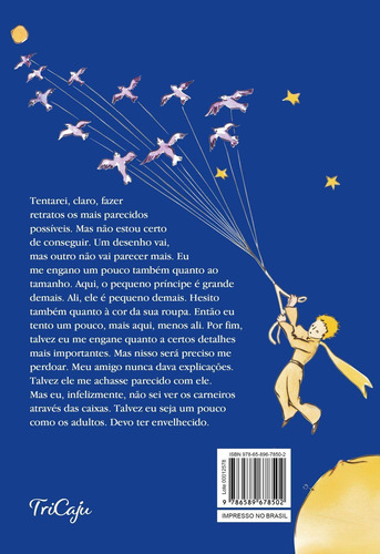 Livro O Pequeno Príncipe - Antoine De Saint Exupéry