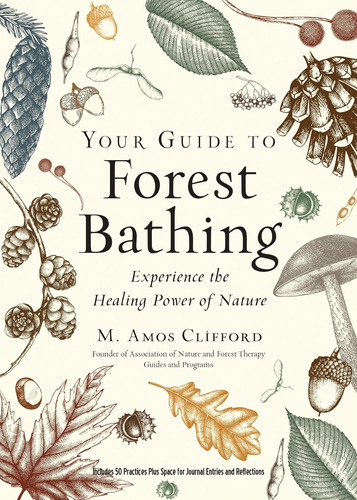 Your Guide To Forest Bathing (expanded Edition): Experience 