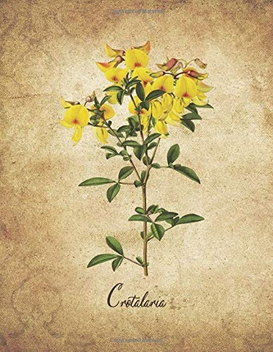 Crotalaria Vintage Floral Notebook With College Ruled Lined 