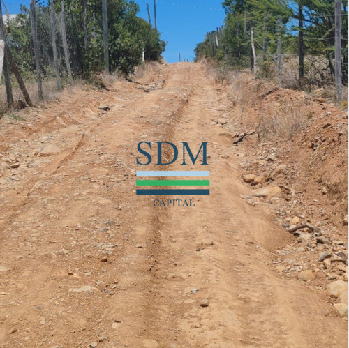 Venta Parcela 5000mts San Clemente