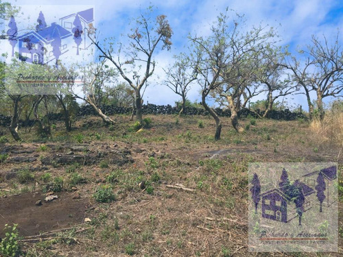 Se Vende Terreno En Tepoztlán Morelos