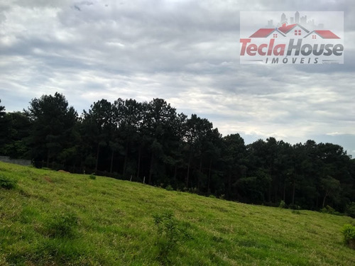 Lote / Terreno Em Rio Abaixo - Itaquaquecetuba - 213