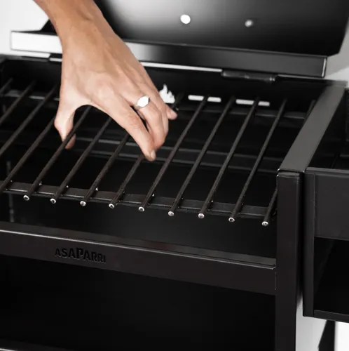 Chulengo Parrilla Portátil Con Brasero Y Bolso Asaparri